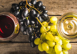 Produktfoto zu Wein der Woche