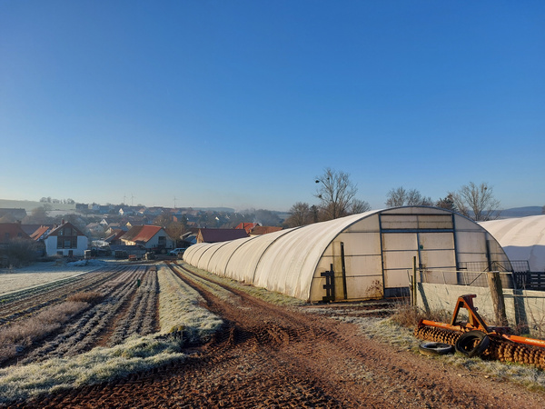 KI generiert: Ein landwirtschaftlicher Betrieb mit zwei großen weißen Gewächshäusern und gefrorenen Feldern.
