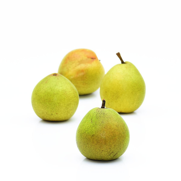 Produktfoto zu Birne Clapps Liebling