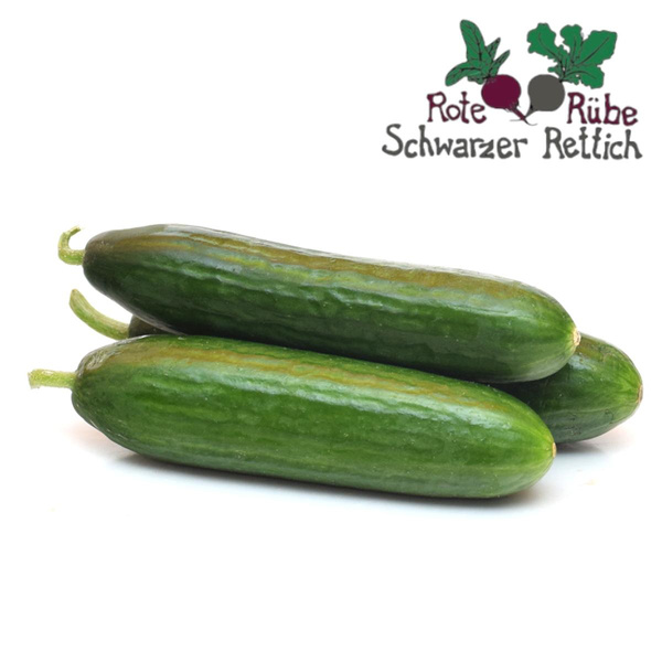 Produktfoto zu Mini-Gurken
