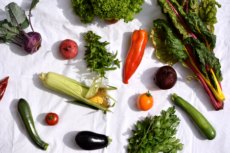 Was bedeutet das Mindesthaltbarkeitsdatum?