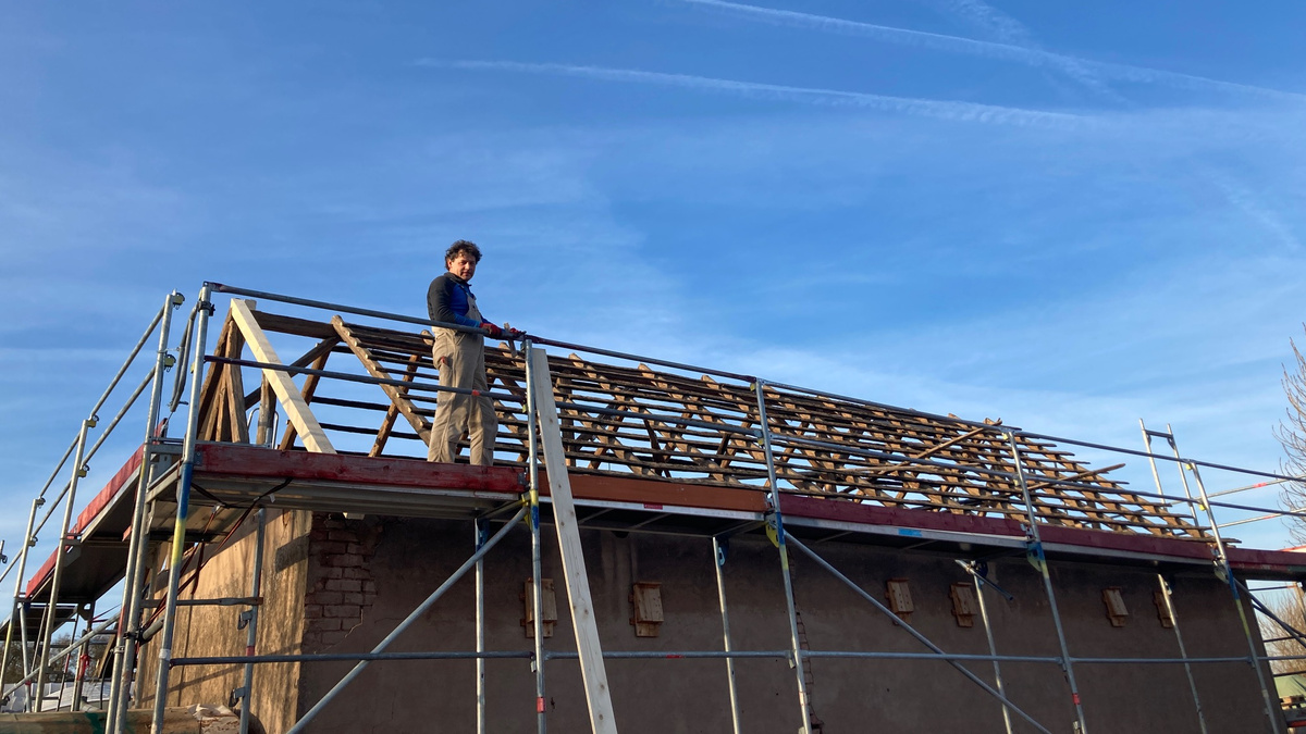 Versuchsreihe mit Himbeeren