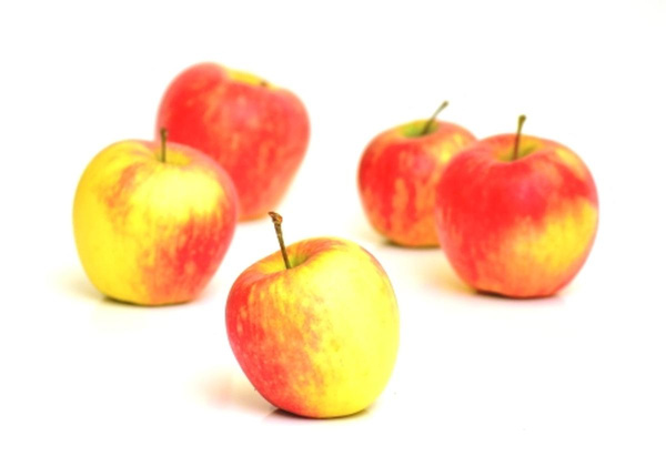 Produktfoto zu Apfel Ambassy