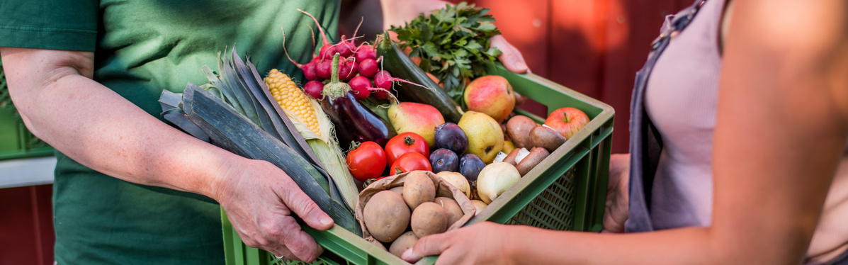 Eigene Ernte für die Ökokiste