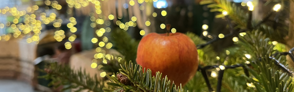 KI generiert: Ein Apfel hängt an einem Tannenbaum, umgeben von Lichterketten.