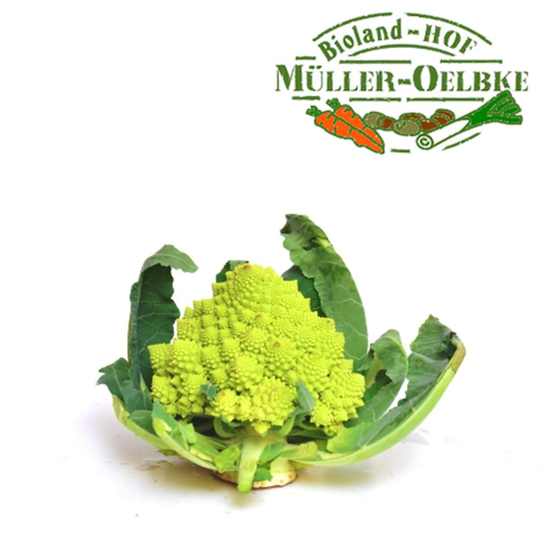 Produktfoto zu Romanesco, kleine Köpfe