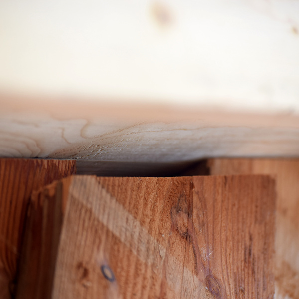 Einschlupfloch für Fledermäuse