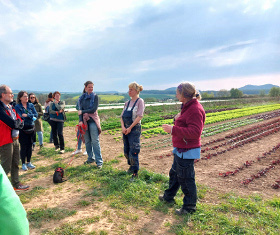 KI generiert: Gruppe von Menschen bei einer Führung auf einem landwirtschaftlichen Feld.