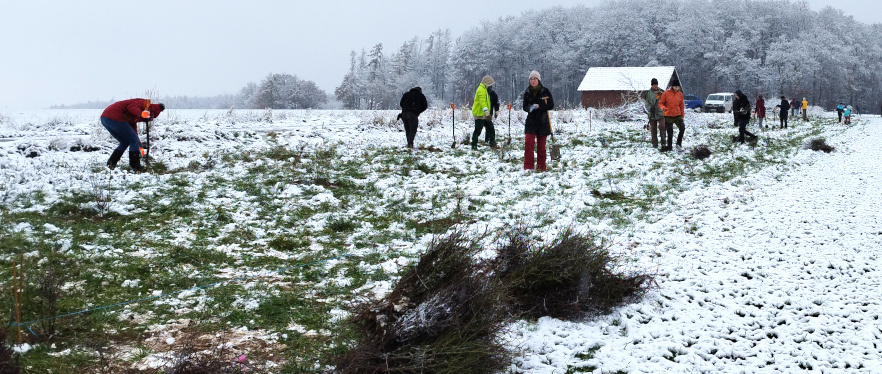 KI generiert: Menschen pflanzen bei Schnee auf einem Feld Bäume.