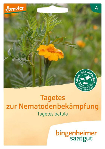 Produktfoto zu Tagetes Saatgut (Studentenblume)