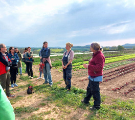 KI generiert: Menschen auf einem Feld bei einer Führung oder Besichtigung landwirtschaftlicher Flächen.