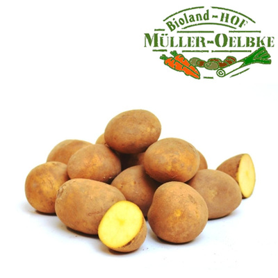 Produktfoto zu Kiste Kartoffel festkochend 10kg
