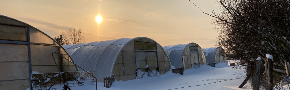 Winter in der Gärtnerei