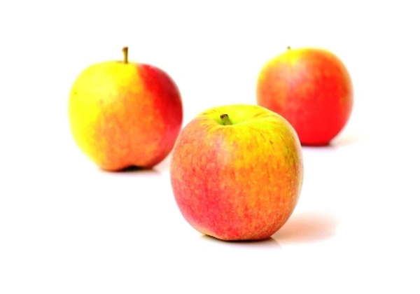 Produktfoto zu Frühapfel Collina