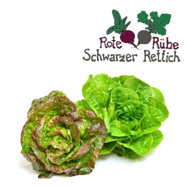 Produktfoto zu Salat, Romana