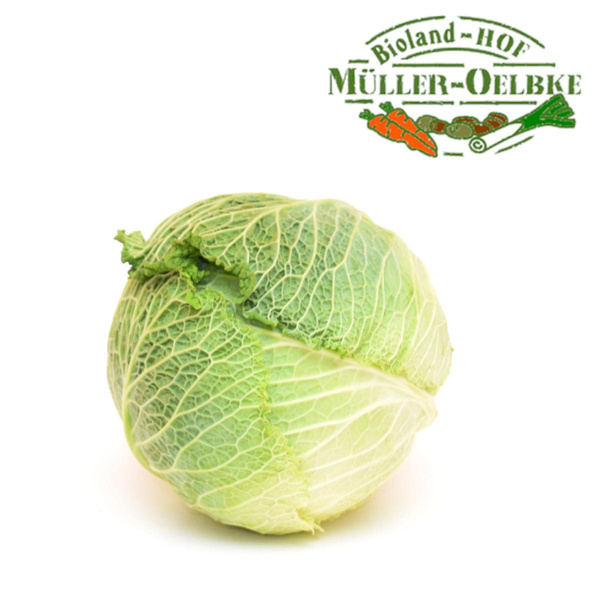Produktfoto zu Wirsing  - klein ohne Umblatt -