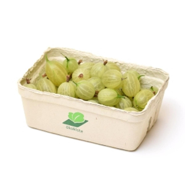 Produktfoto zu Stachelbeeren ca. 250g