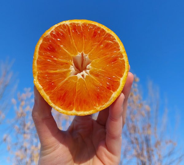  Zwei Personen halten ein Schild mit der Aufschrift: "MULTIKULTUR STATT MONOKULTUR" bei einer Versammlung.
