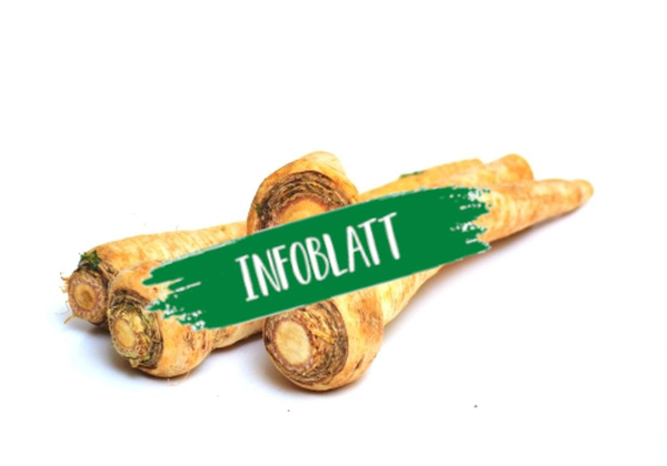 Produktfoto zu Infoblatt Wurzelpetersilie