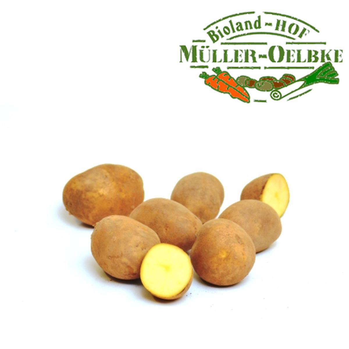 Kartoffel festkochend ca. 1kg