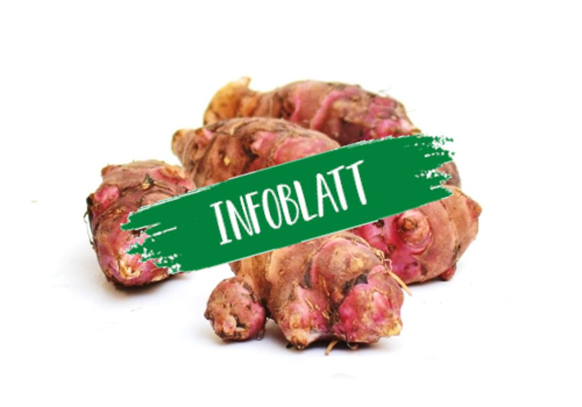 Infoblatt Topinambur