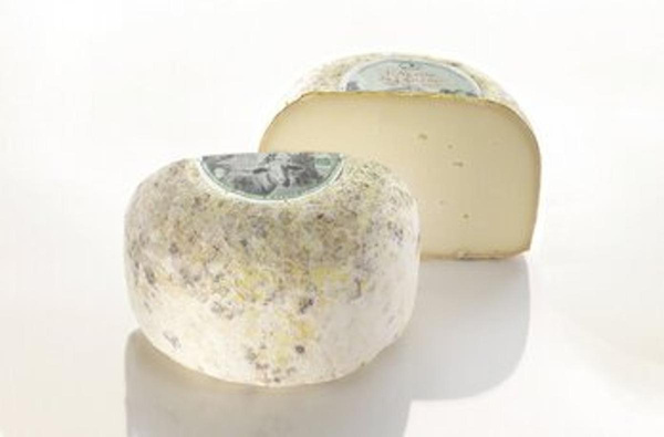 Produktfoto zu Schafskäse L'Agasse du Larzac