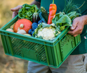 KI generiert: Person hält Kiste mit frischem Gemüse wie Salat, Paprika, Blumenkohl und Tomaten.