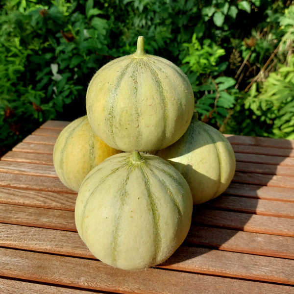 gestapelte Charentais-Melonen