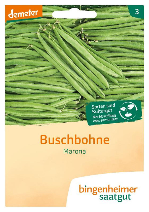Produktfoto zu Buschbohne Saatgut