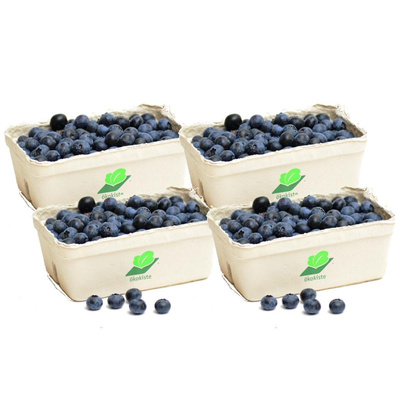 Produktfoto zu Heidelbeeren 4x250g