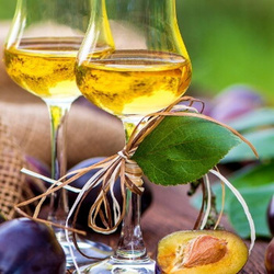 Produktfoto zu Bio-Spirituosen