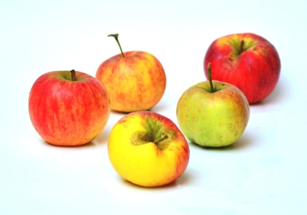 Produktfoto zu Apfel Backapfel