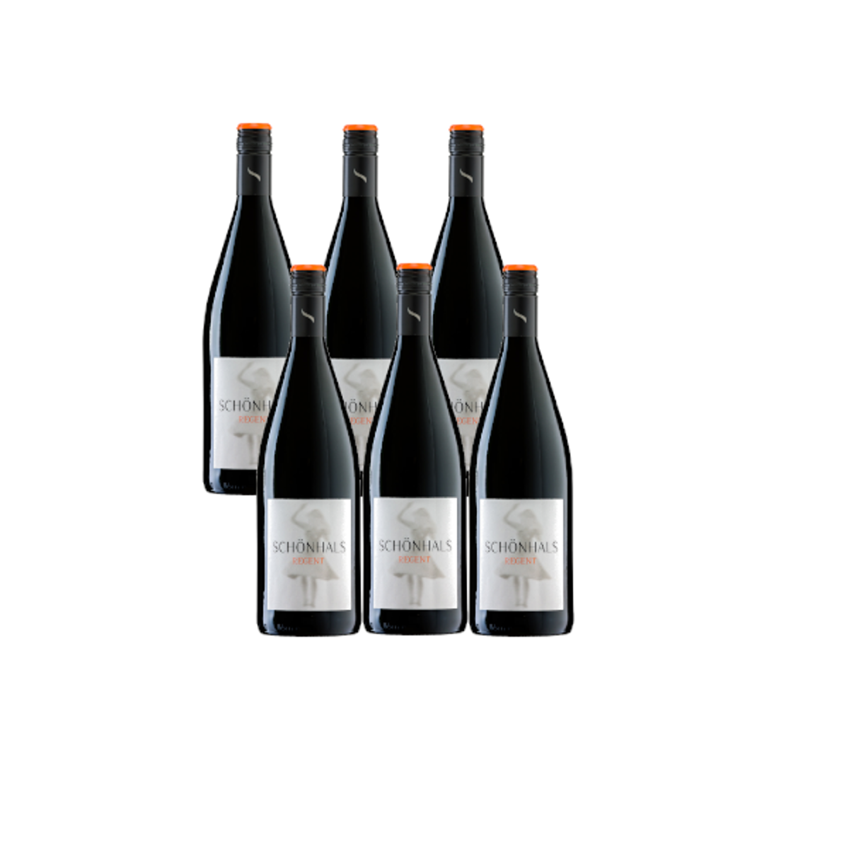 Kiste Regent Zukunftswein rot 6*1l