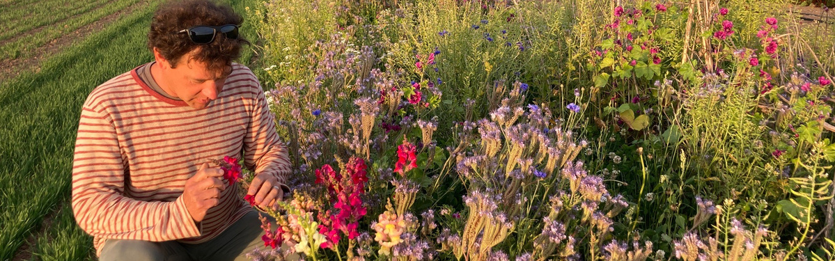 Andi bei den Blühstreifen auf dem Acker