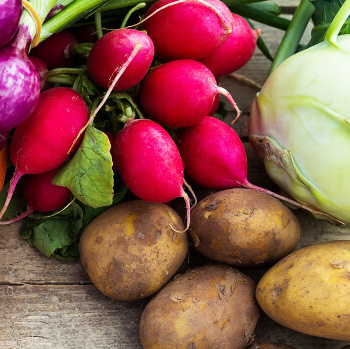 Gemüse aus der Region