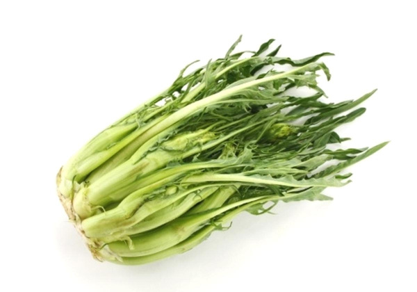 Produktfoto zu Puntarelle Stück (mit Rezept)