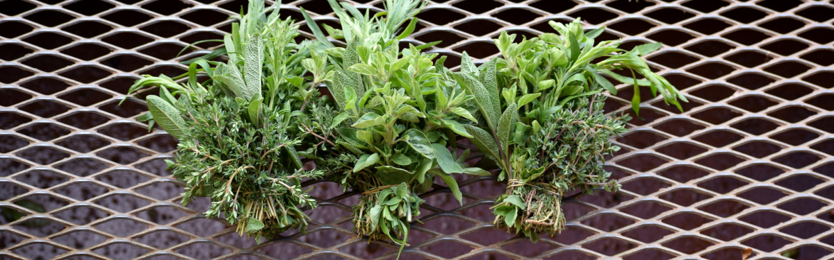 KI generiert: Drei Kräuterbündel liegen auf einem Gitter.