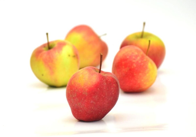 Produktfoto zu Apfel Idared 60+ Bioland