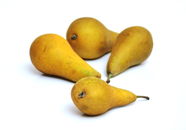 Produktfoto zu Birne Conference, große Früchte
