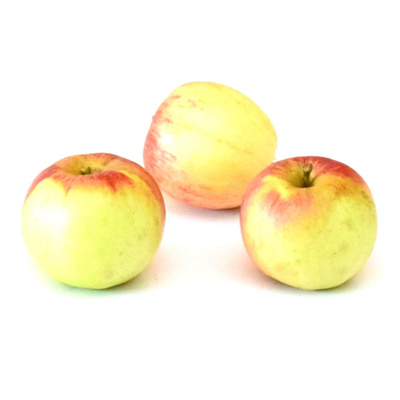 Produktfoto zu Apfel Frühprinz