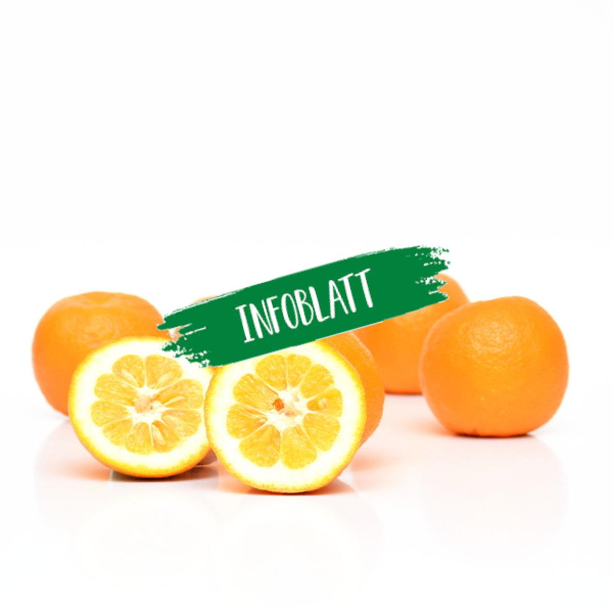 Infoblatt Bitterorange