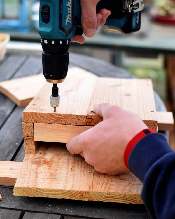 Montage Fledermauskasten