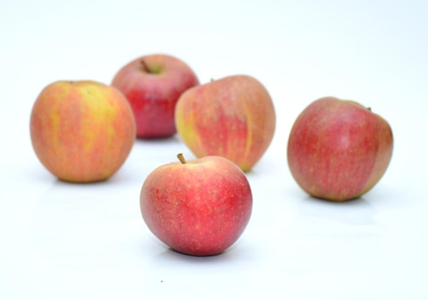 Produktfoto zu Apfel Boskoop