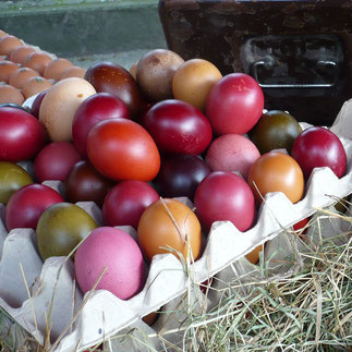 bunte Ostereier