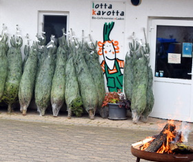 KI generiert: Eingepackte Weihnachtsbäume vor einem Laden mit der Beschriftung "lotta karotta". Ein Feuer brennt im Vordergrund.