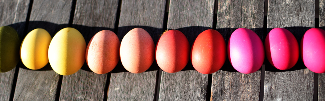 KI generiert: Farbig gefärbte Eier in einer Reihe auf einem Holztisch.