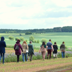 Veranstaltung in der Gärtnerei