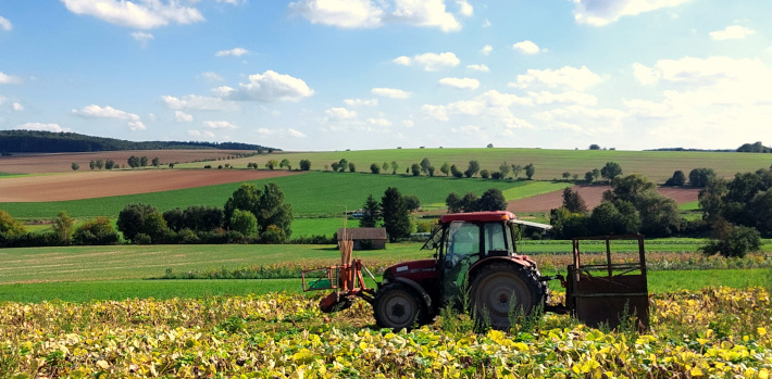 Trecker im Herbst auf einem Feld bei der Ernte
