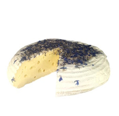 Produktfoto zu Kolsasser Kornblume