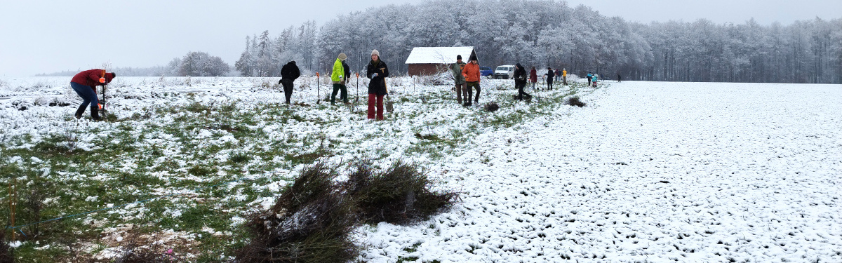 Pflanzaktion bei Schnee und Kälte